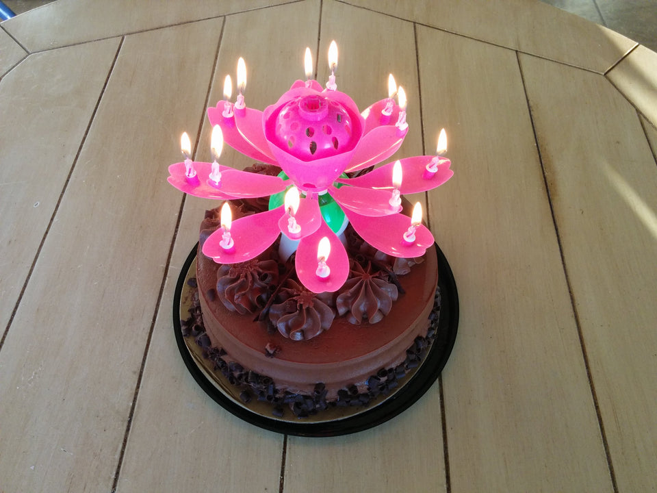 Nylea Birthday Cake Flower Candles with Happy Birthday Music