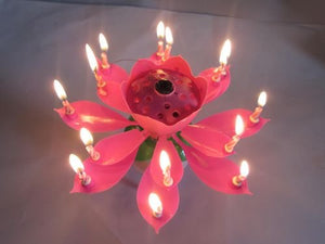 Lotus Candles Pink / Pink / Pink / Pink 4-Pack